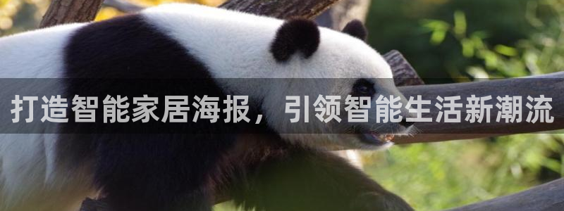 ug环球国际买分