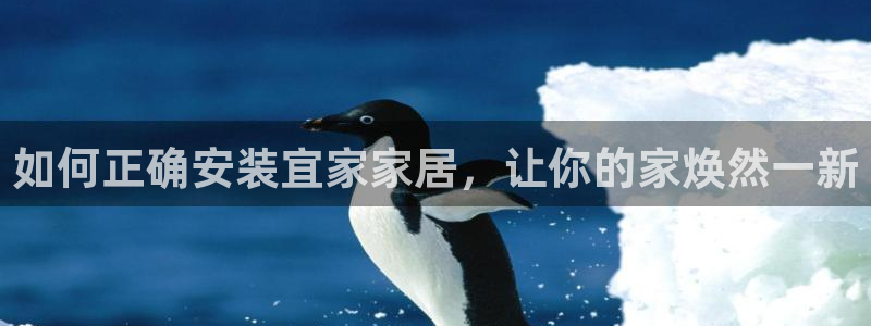 ug环球官网入口