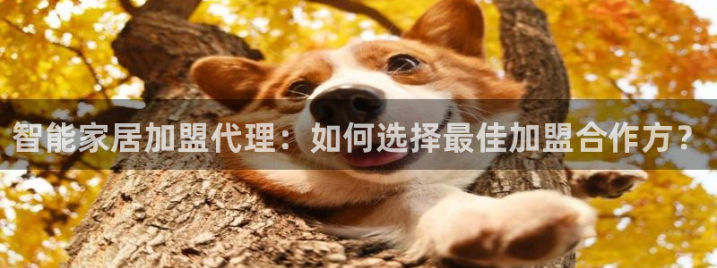 ug环球好假