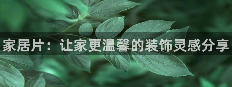 ug环球代理加盟