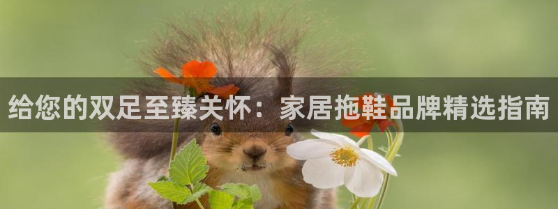 ug环球游戏网站