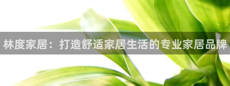 ug环球官网会员
