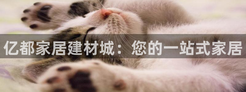 ug环球平台