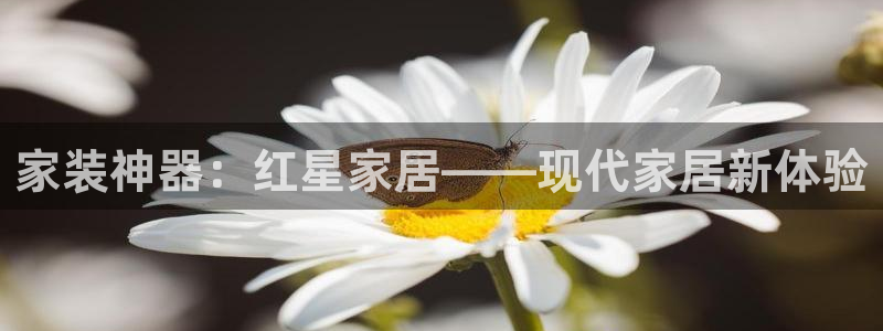 UG环球视讯官网