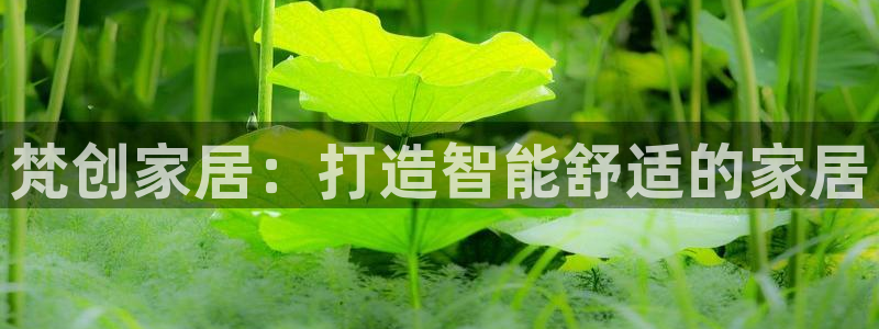 ug环球代理加盟