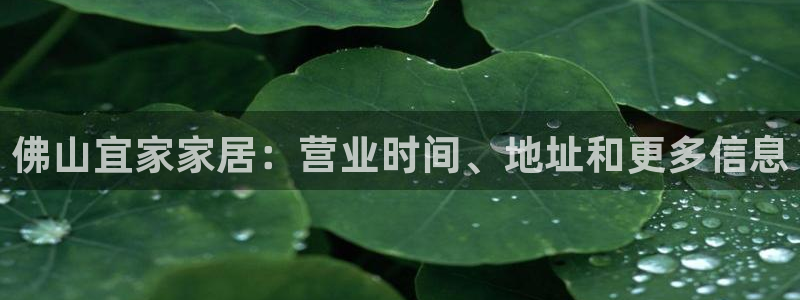 环球ug官网代理