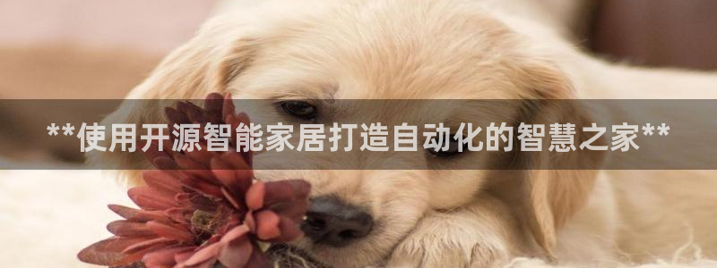 ug环球密码重置是多少位数啊