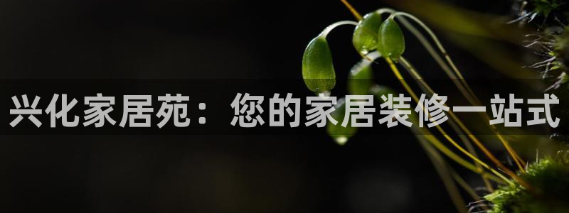 ug环球国际官网