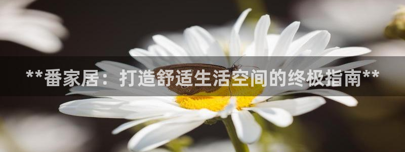 ug环球代理平台官网