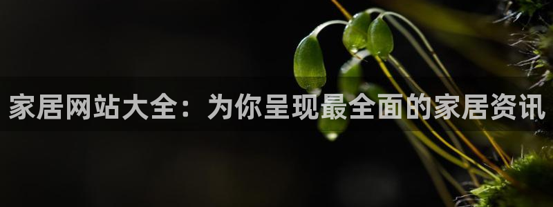 ug环球正网买分