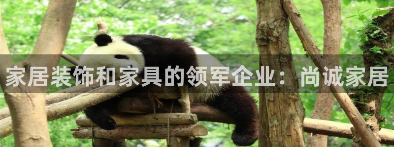 ug环球在线开户