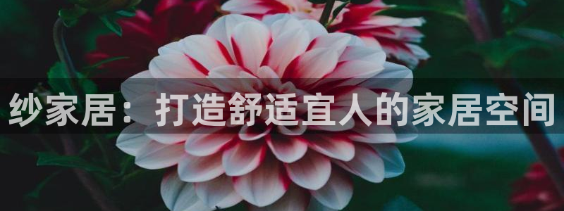 ug环球密码重置是多少位数啊