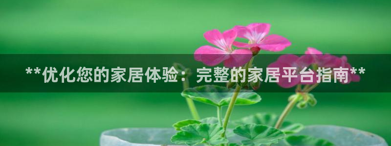 ug环球官网会员