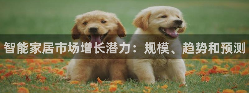 ug环球360官网