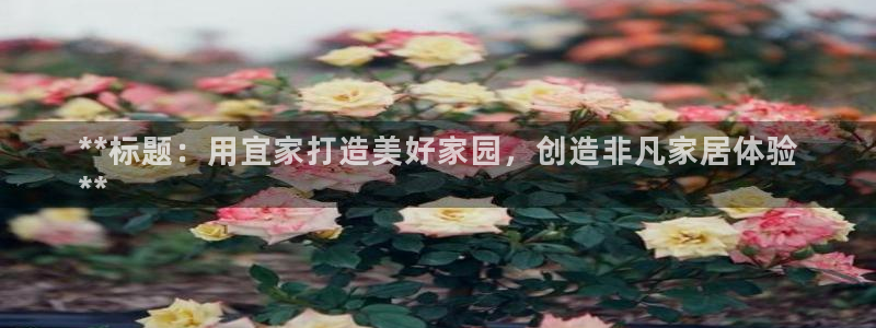 ug环球买代理