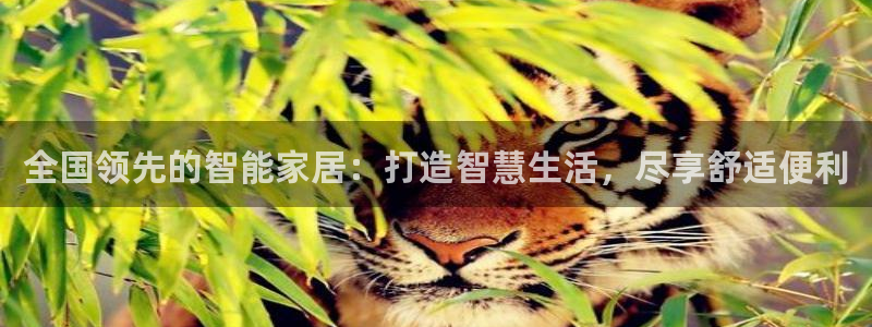 ug环球包杀网一比一