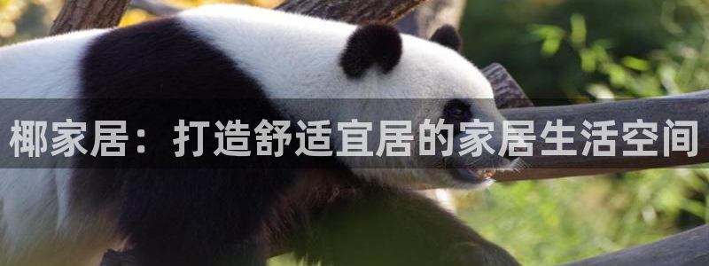 ug环球视讯充值