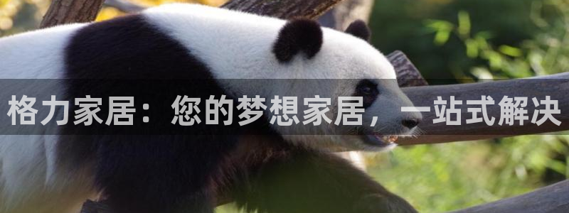 Ug环球私网一比一