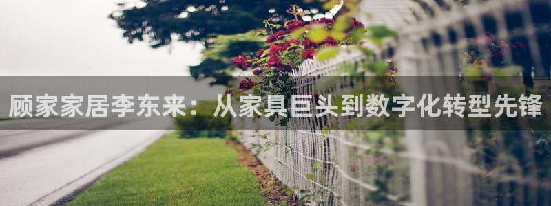 ug环球官网代理